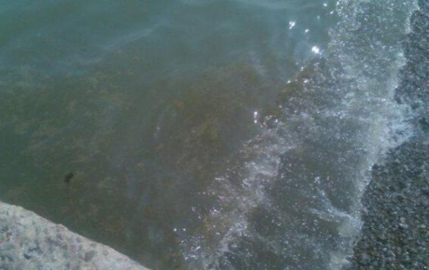 В Алупці нечистоти зливають просто у море. Фото: соцмережі
