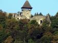 Містика небесна і земна: Ентузіасти знімали метеоритний дощ в Невицькому замку та спіймали в об'єктив знаменитого привида