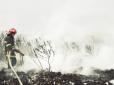 На Тернопільщині сталася велика пожежа: загорілося сміттєзвалище (ФОТО, ВІДЕО)