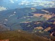 Скандал між Генпрокуратурою та Держприкордонслужбою: На Закарпатті понад 7 тисяч дерев вирубали та вивезли в Словаччину (відео)