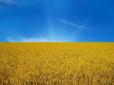 Синьо-жовта планета (фотодобірка до Дня Державного Прапора України)