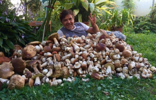 Киянин назбирав у закарпатському селі Смерекова 114 кг білих грибів. Фото: Фейсбук.