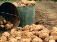 У Київській області чоловік вбив дружину через відмову копати картоплю на городі (відео)