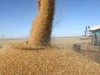Україна планує побити власний рекорд по експорту зерна, залишаючись у трійці світових постачальників зернових