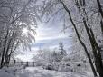 Сніги і морози: Народний синоптик розповів, якою буде зима в Україні