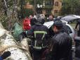 Валить дерева, паркани, ліхтарі: На Одещині загинула дитина, оголошено надзвичайний стан (відео)