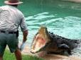 Верхи на крокодилі: Натураліст з Австралії показав майстер-клас екстремальної їзди (відео)