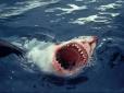 Австралійський рибалка у відкритому морі відбився від акули... шваброю (відео)