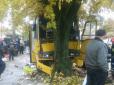 Автобус врізався у дерево на повній швидкості: Внаслідок ДТП у Львові постраждали 19 осіб (фото)