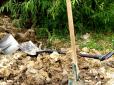 На Львівщині багатодітна селянська родина з лопатами і сапками накинулась на поліцейських (відео)