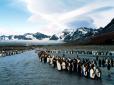 Недоторканна  Антарктика: Море Росса стане найбільшою заповідною зоною