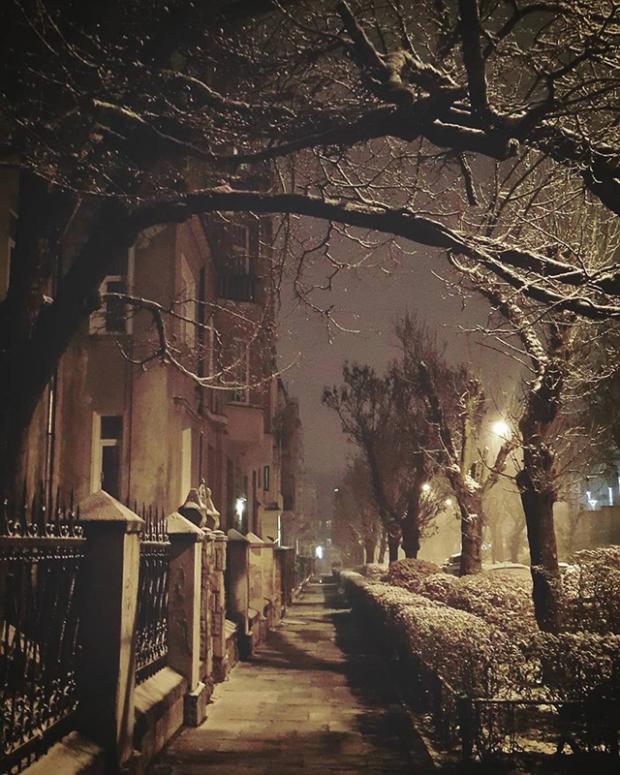 Перший сніг у Львові. Фото: Інстаграм