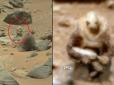 Curiosity сфотографував на Марсі солдата