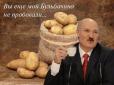 Эксперт: В Кремле поставили Лукашенко на место