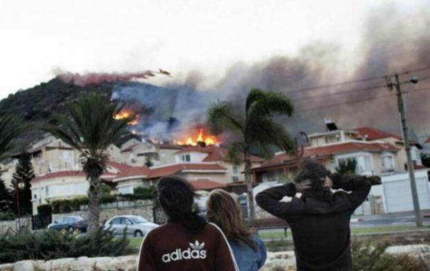 Пожежі у Хайфі. Фото:https://styler.rbc.ua/