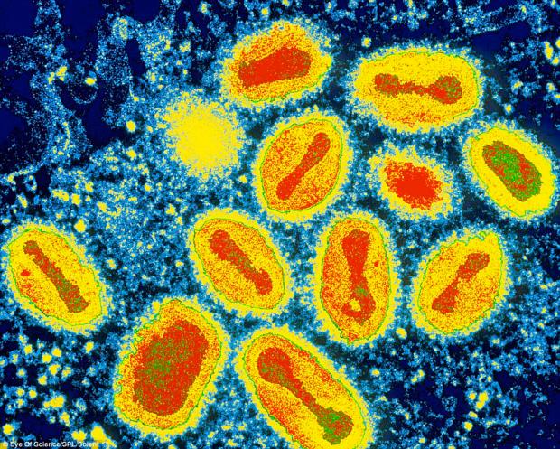 Вірус віспи - жовтим кольором позначено білок, червоним - ДНК