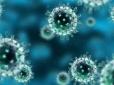 Захворюваність на грип та ГРВІ перевищила епідпоріг у трьох областях