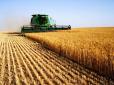 Долати труднощі та рухатись вперед: В Україні ростуть обсяги виробництва сільгосппродукції