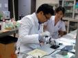 Підозрюють вплив радіації: Японські вчені відкрили дві нові групи крові