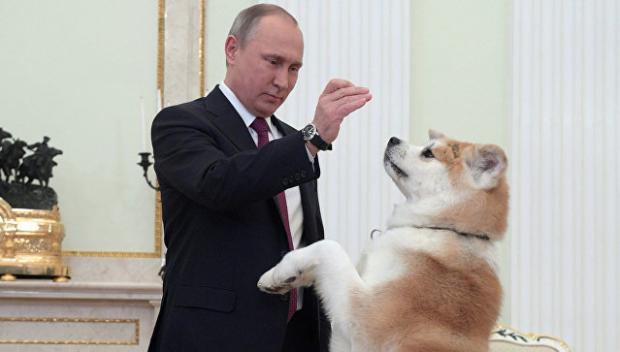 В.Путін і собака Юме. Фото: РИА Новости.