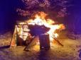 Таке в неї мистецтво: У Києві оголена художниця спалила свої картини (фото)