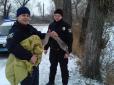 Добрий вчинок: Поліцейські на Київщині врятували лебедя, який вмерз у кригу (відео)