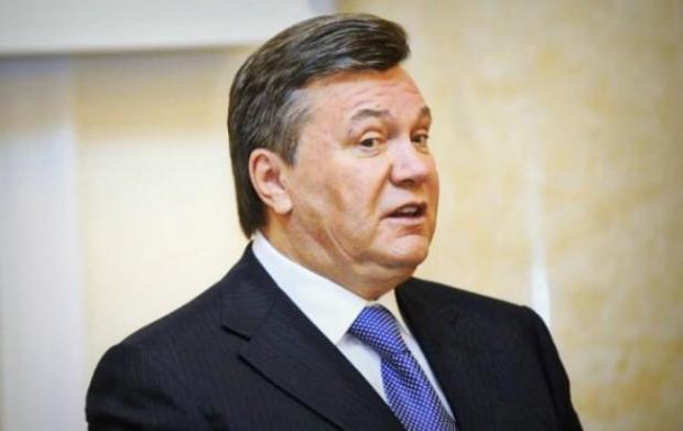 Янукович. Фото: 24 канал