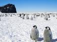 Дев'ять цікавих фактів про Антарктиду, про які ви могли навіть не здогадуватися (фото)
