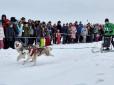 Веселі та чудові змагання: Перегони з собаками північних порід Winter Dog Fest пройшли на Харківщині (фоторепортаж, відео)