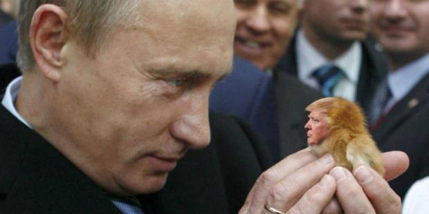 Путін впевнений, що Трамп в нього в кишені? Фото: Обзор.Press.