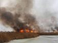 Хотіли постріляти для розваги: На Одещині браконьєри підпалили у Нацпарку очерет, щоб вполювати наляканих тварин (фото)