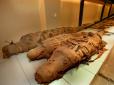 Археологи знайшли в Єгипті мумію величезного крокодила (фото)