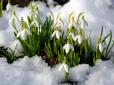 В Україну поспішає весна: Синоптики порадували прогнозом на наступний тиждень