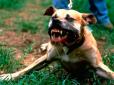 Біля власного дому: Літню жінку до смерті загризли сусідські собаки на Вінниччині