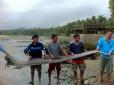 Справжній монстр глибин: На Філіппінах впіймали рідкісного Морського змія (фотофакт)