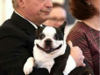 Усміхнена собака президента Фінляндії випередила його в популярності (фото)