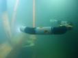 ​У Норвегії тестують робота-змію для підводних робіт (відео)