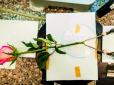 Квітка-кіборг: Шведські вчені перетворили троянду в акумулятор