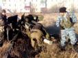 Теракт на Донбасі: Бойовики знову обстріляли мирних жителів (фото)