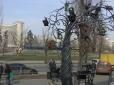 У Києві з'вилось чудернацьке залізне дерево (відео)