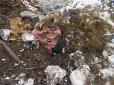 Жахлива смерть: Поліція на Прикарпатті знайшла тіло розшукуваного юнака на смітнику (фото, 18+)