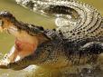 Трагедія у Мозамбіку: Крокодил живцем зжер футболіста