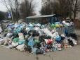 Як у середньовіччі: У Львові чекають на епідемію через невивіз сміття