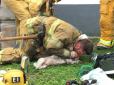 Пожежний з США врятував життя собаці, 20 хвилин роблячи йому штучне дихання (фото)
