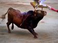 В Іспанії під час кориди бик здолав тореадора (відео, 16+)