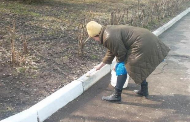 У Києві заборонили білити бордюри. Фото: Depo.