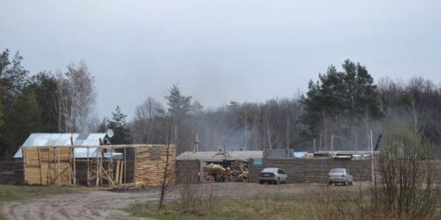 На Житомирщині знищують ліси заради деревного вугілля. Фото:http://vlada.io/