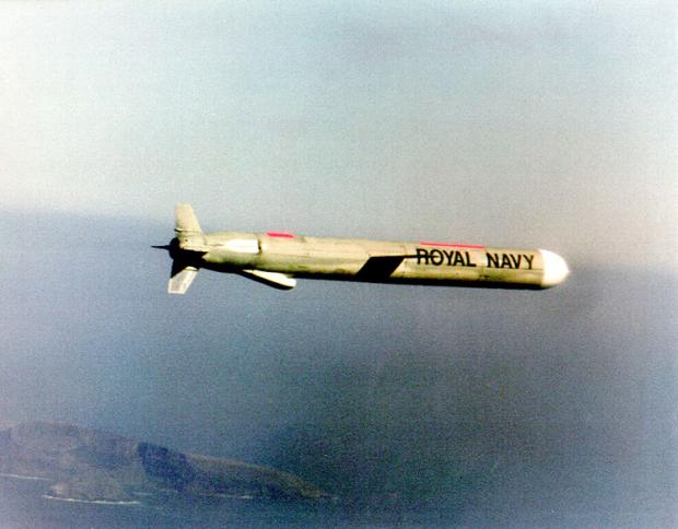 Томагавк. Фото: forces.narod.ru