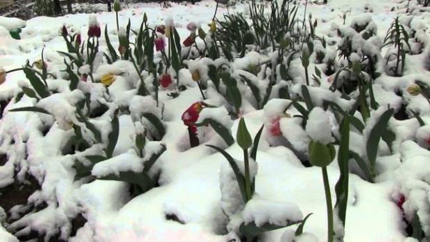 В Україну йде циклон з сильними дощами і снігом. Фото: Південь Інфо.