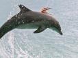 Унікальний кадр: В Австралії восьминіг прокатався верхи на дельфіні (фото)